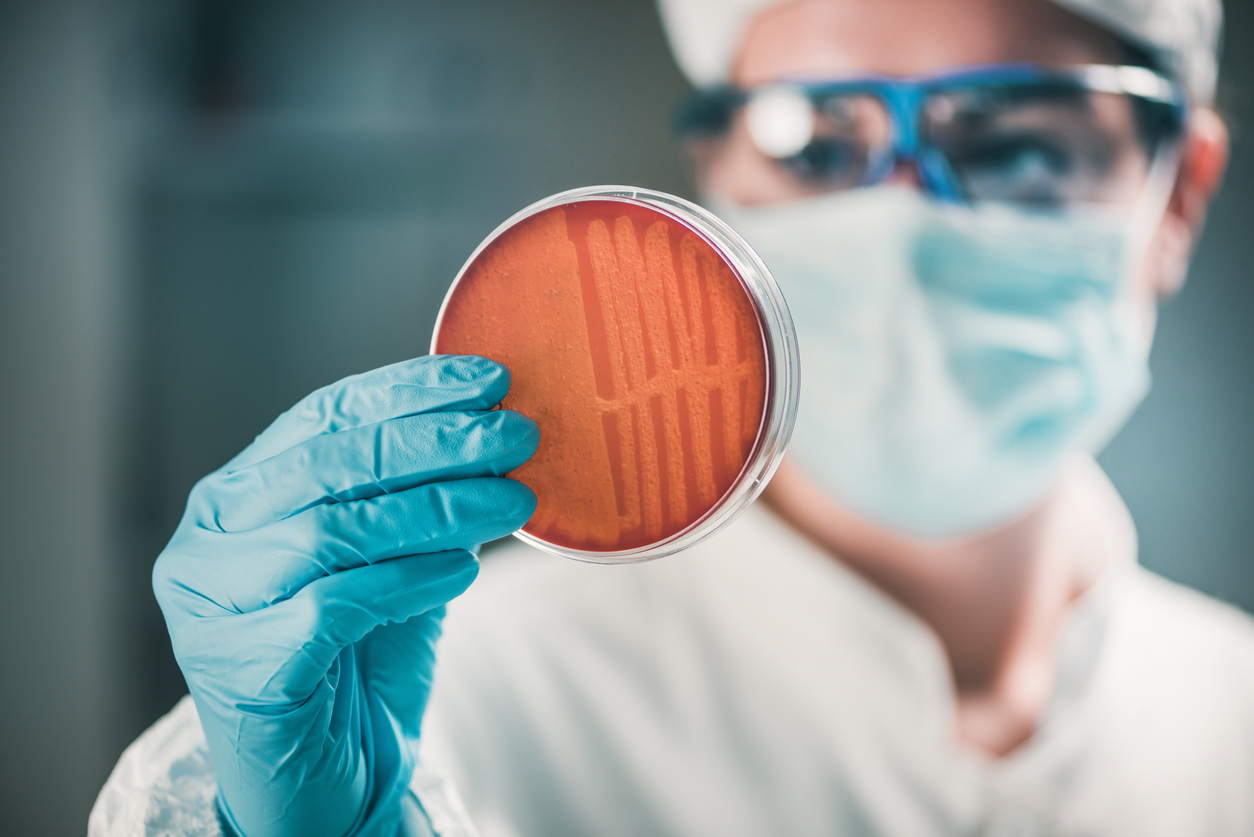 Antimikrobielle Resistenzen: Forscher mit Petrischale