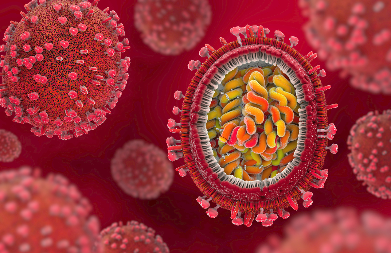 Grippe-Virus