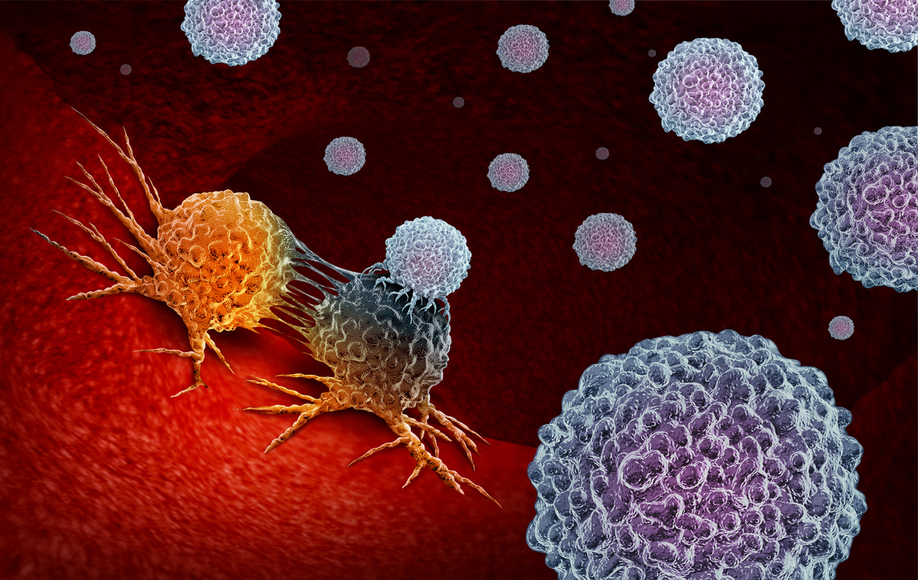 T-Zellen greifen Krebszelle an