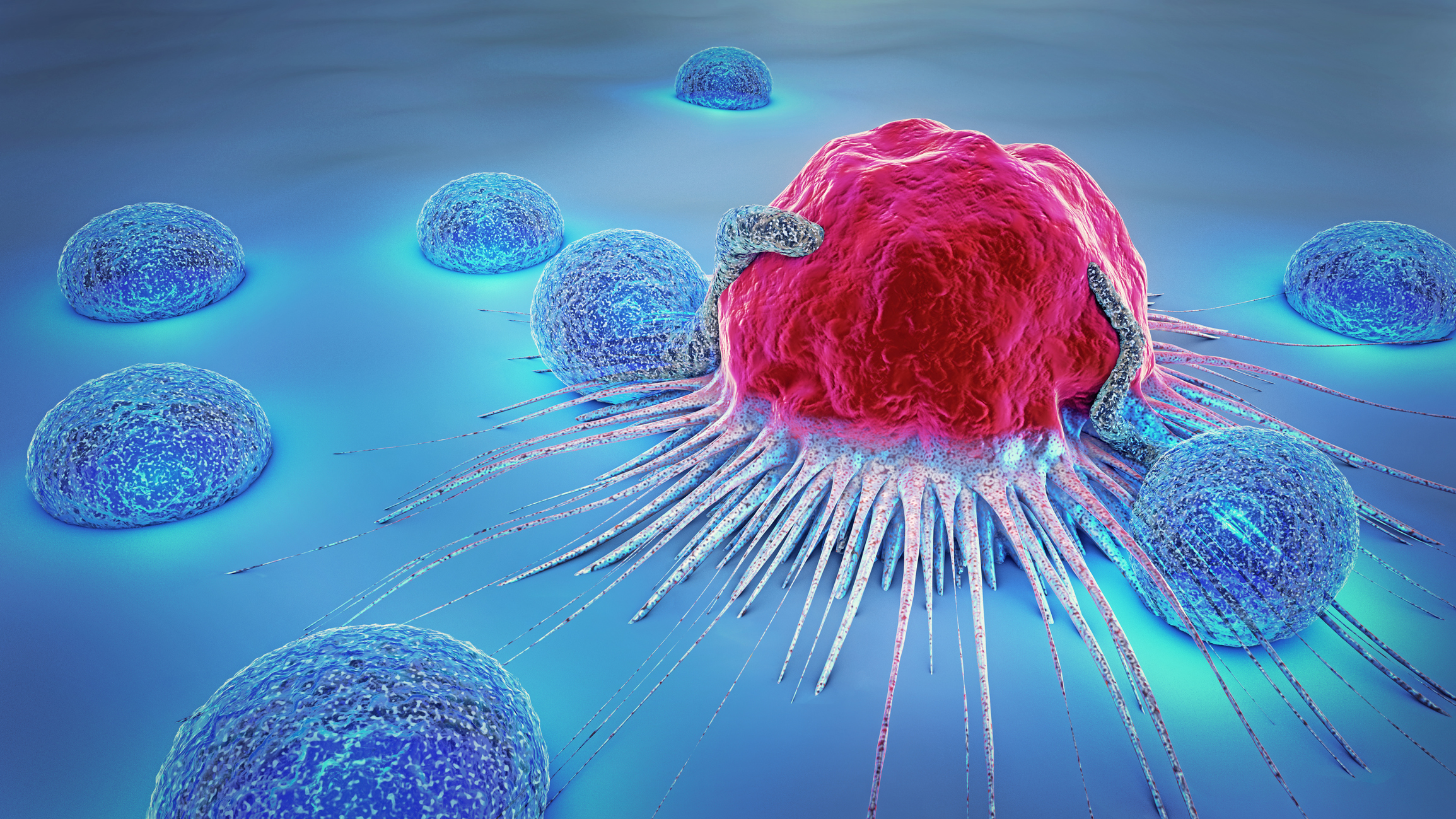 3D-Abbildung einer Krebszelle und Lymphozyten