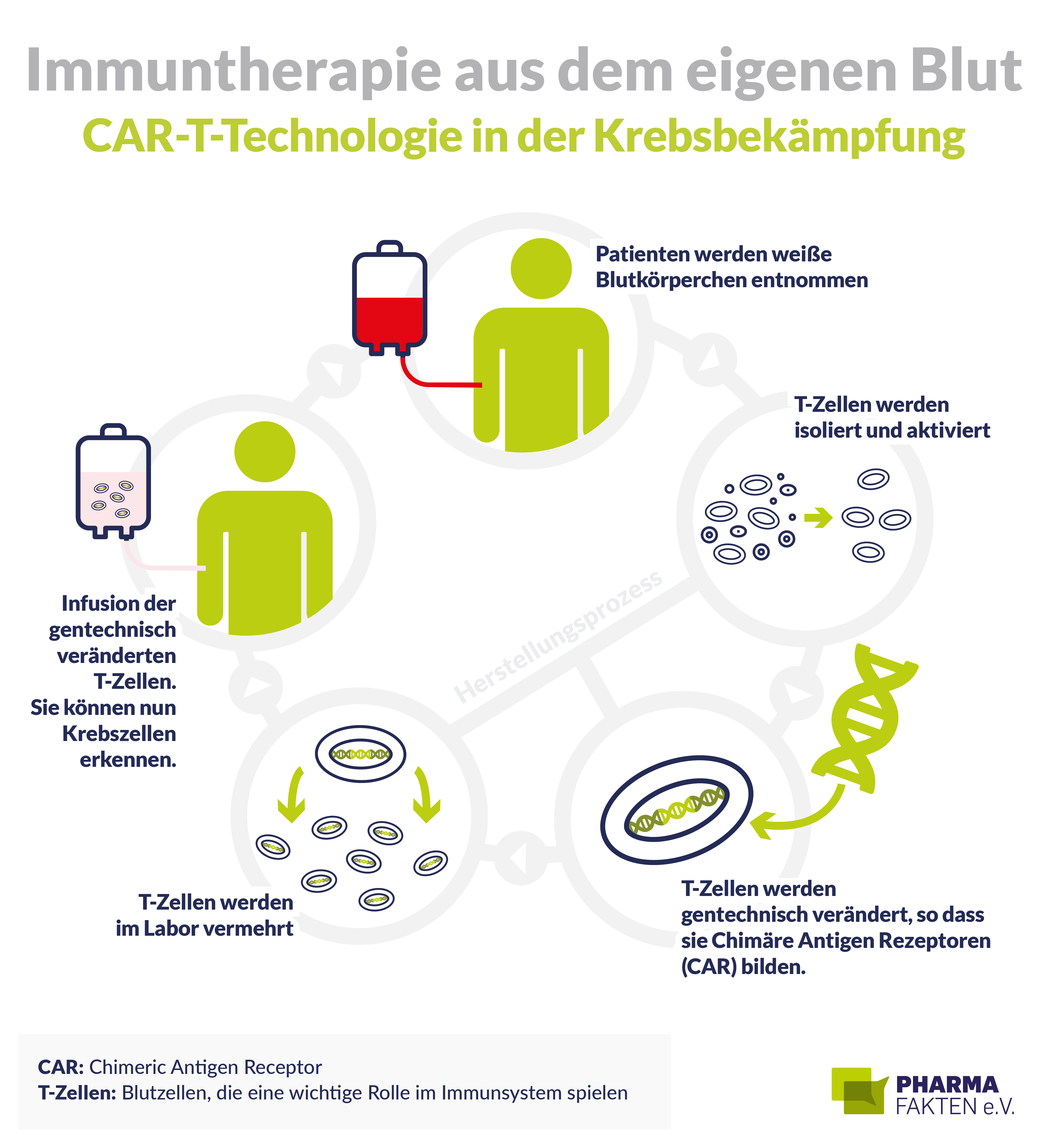 CAR-T-Zelltherapie im Kampf gegen Krebs: Infografik