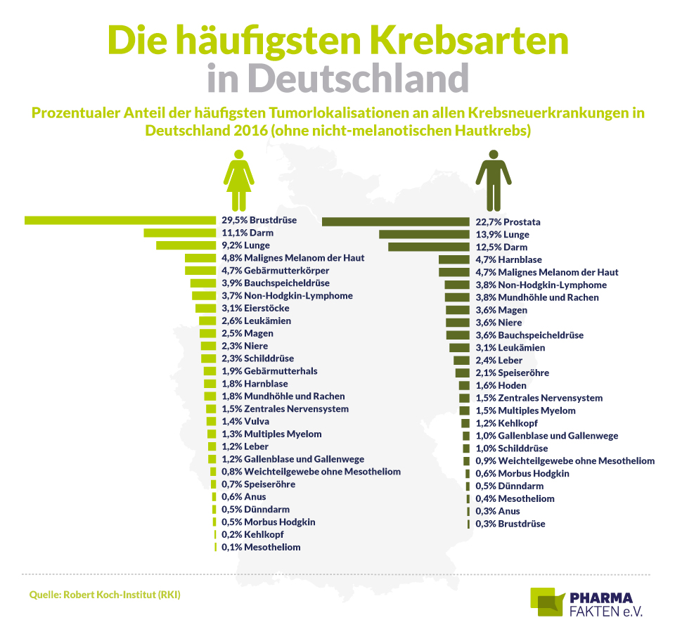 Pharma Fakten-Grafik: Die häufigsten Krebsarten in Deutschland